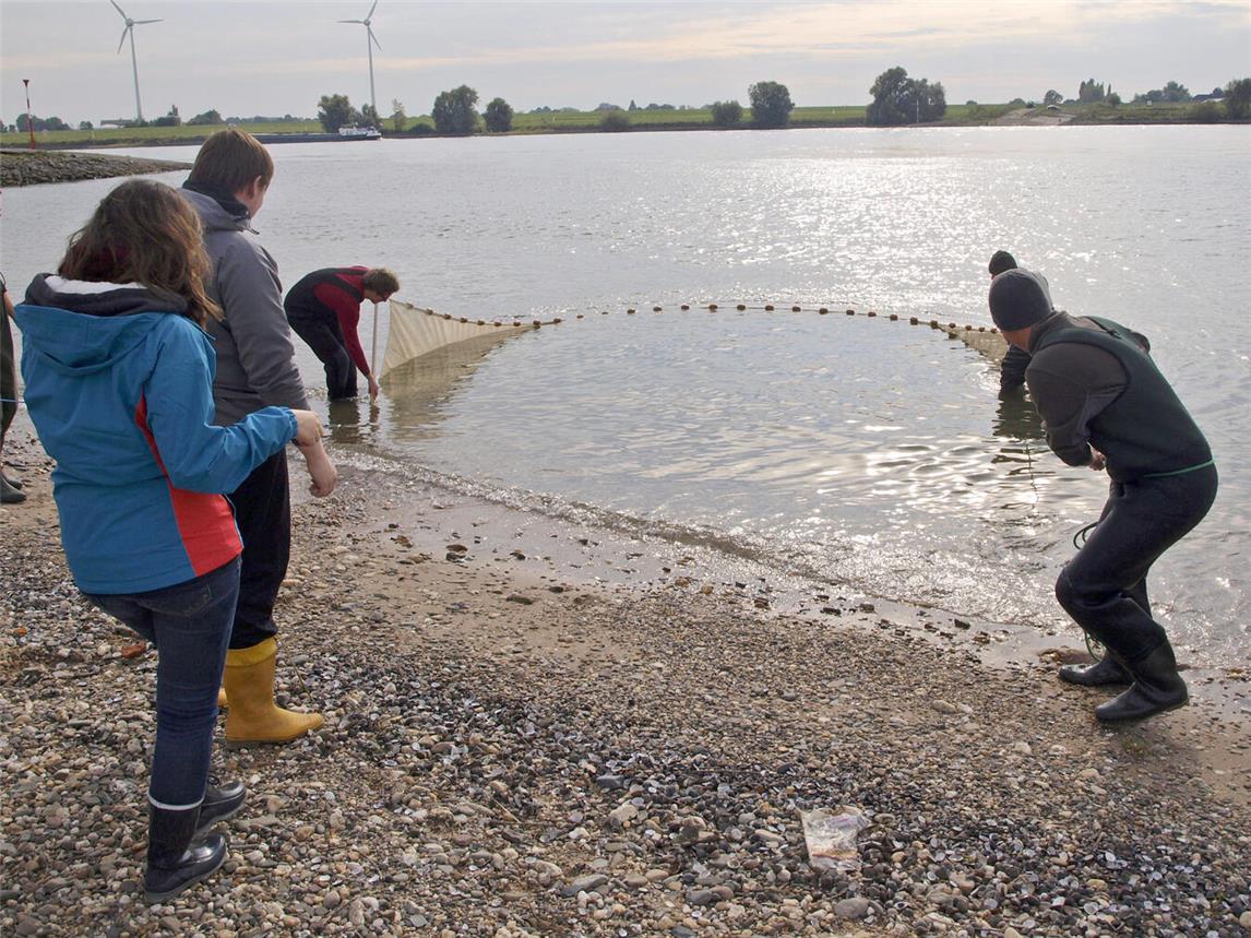 Mit einem Uferzugnetz fängt man Fische im Uferbereich.Foto: Dr. Leon Barthel