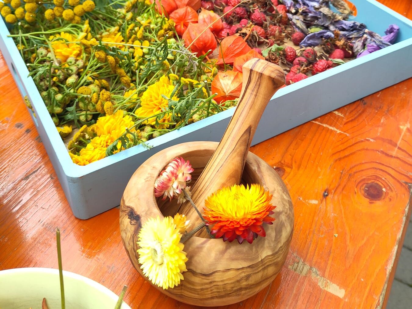 "Experiment mit Pflanzenfarben, kreative Farbmischung, nachhaltige Kunst, Foto von Sylke Döringhoff"