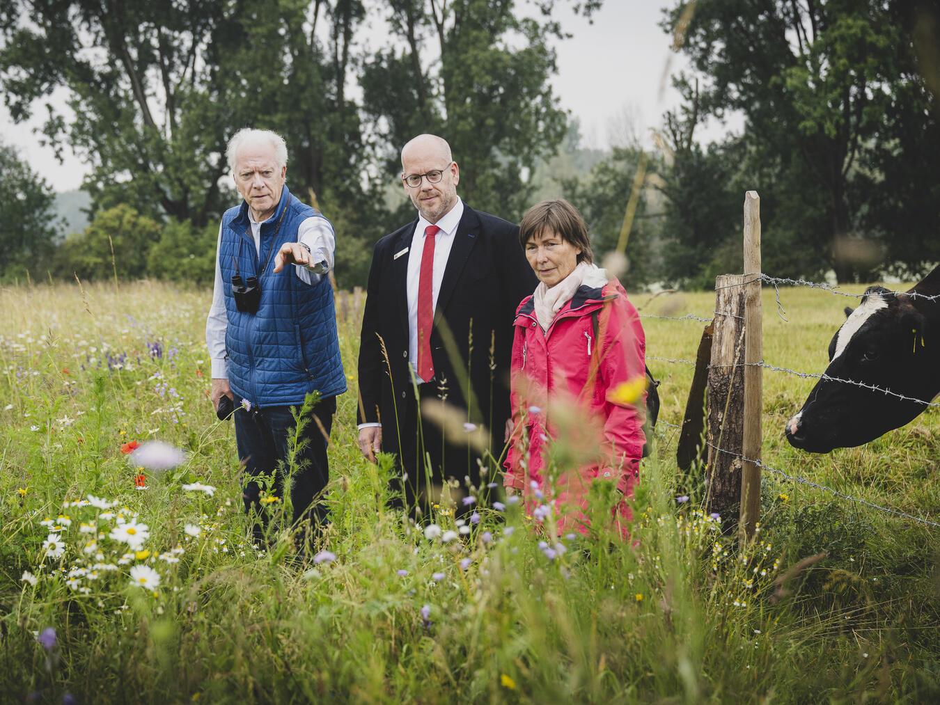 Mitten in der Glatthaferwiese: Dr. Georg Verbücheln, Gerd Heursen und Hannelie Steinhoff (v.l.)Foto: Bettina Engel-Albustin | Fotoage