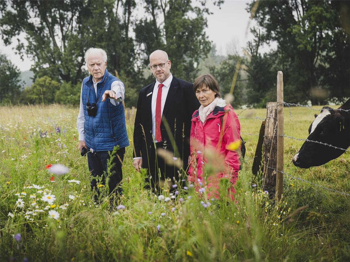 Mitten in der Glatthaferwiese: Dr. Georg Verbücheln, Gerd Heursen und Hannelie Steinhoff (v.l.)Foto: Bettina Engel-Albustin | Fotoage