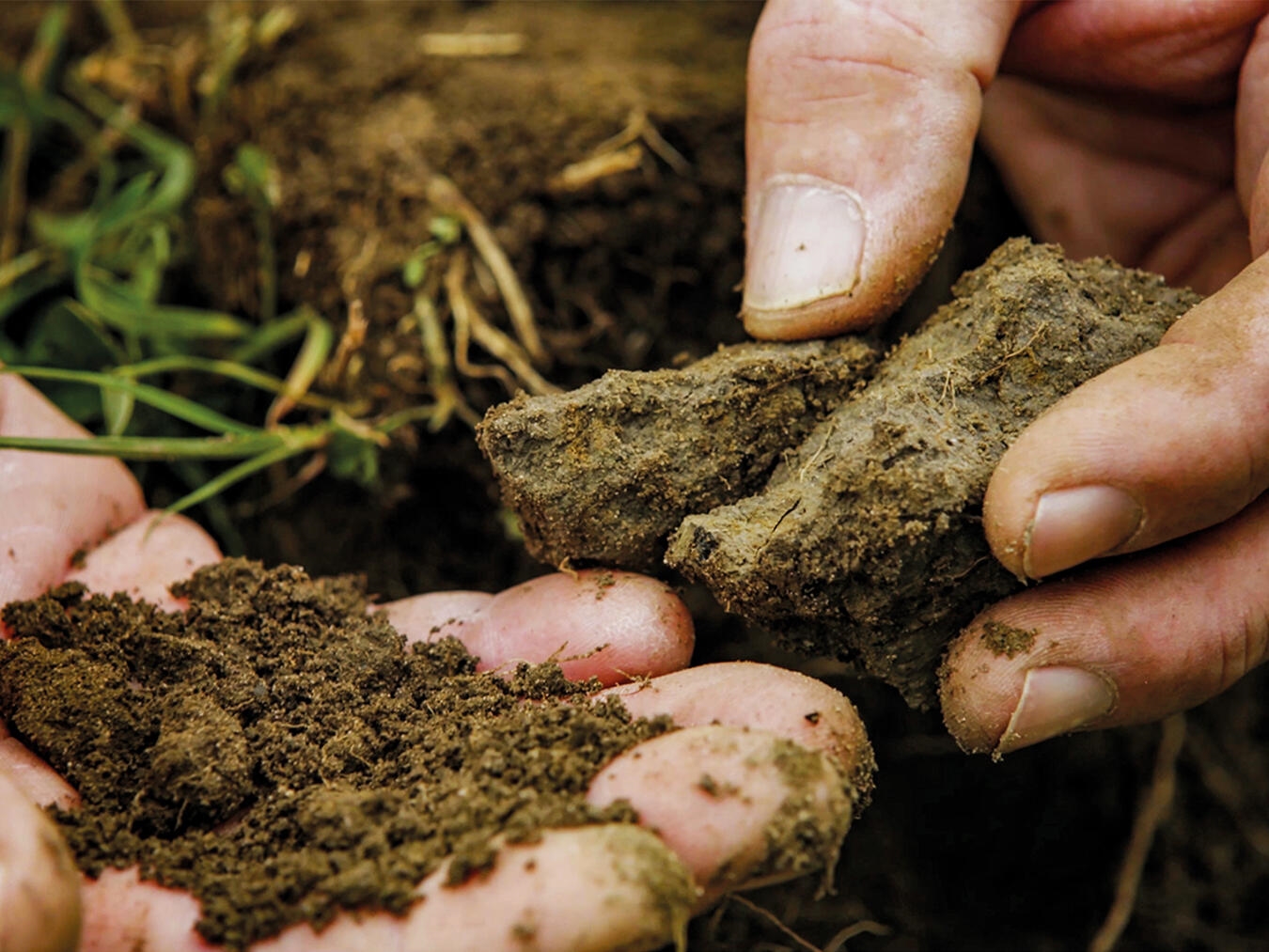 Naturschutz bedeutet nicht nur, Ressourcen zu schonen, sondern auch wertzuschätzen, was man bereits hat. Foto: W-film/Tisda Media
