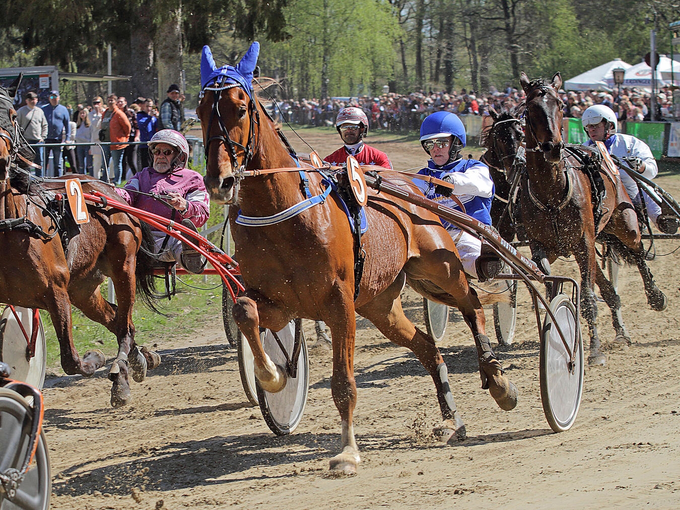 NN-Foto (Archiv): TL