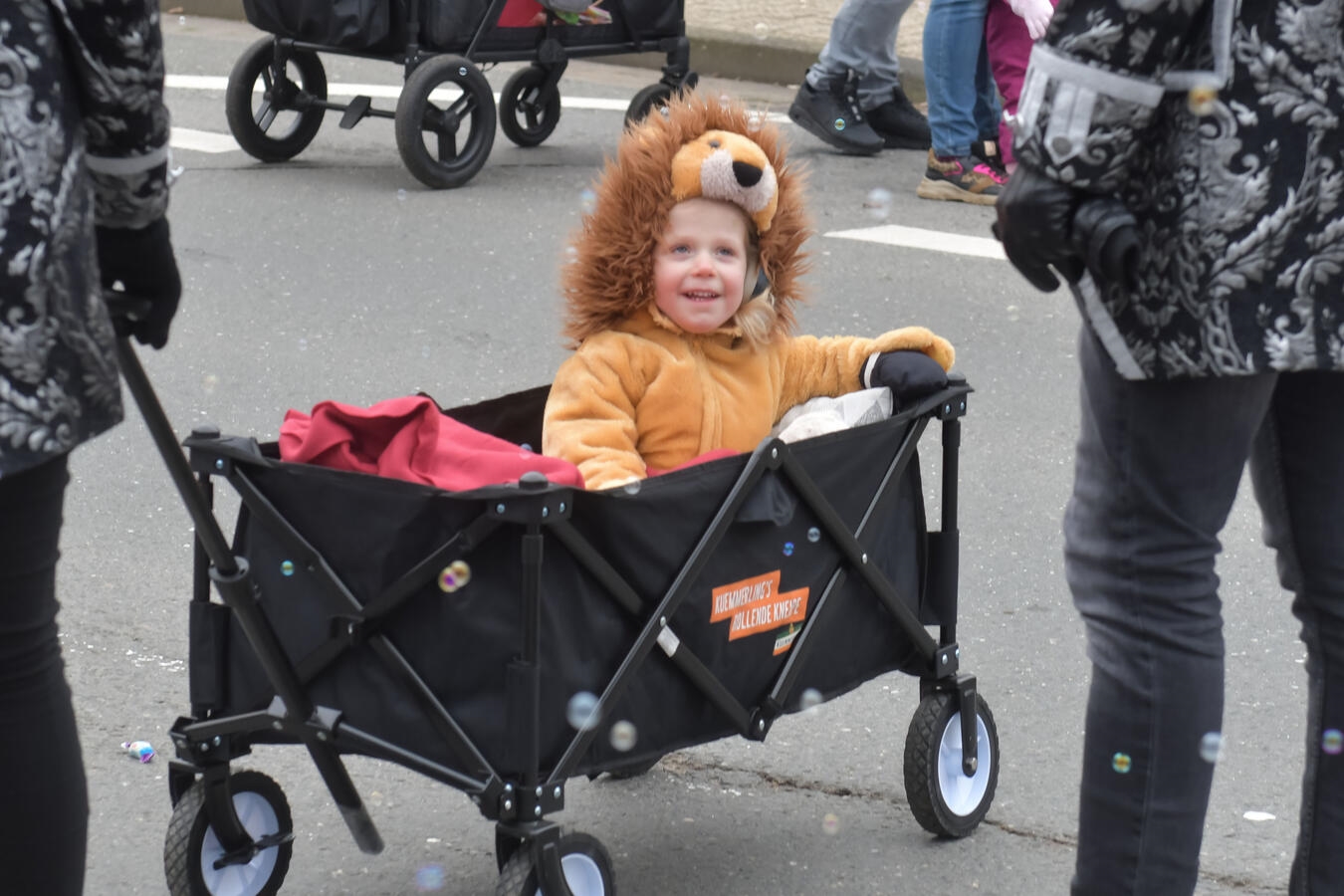 NN-Foto: Gerhard Seybert