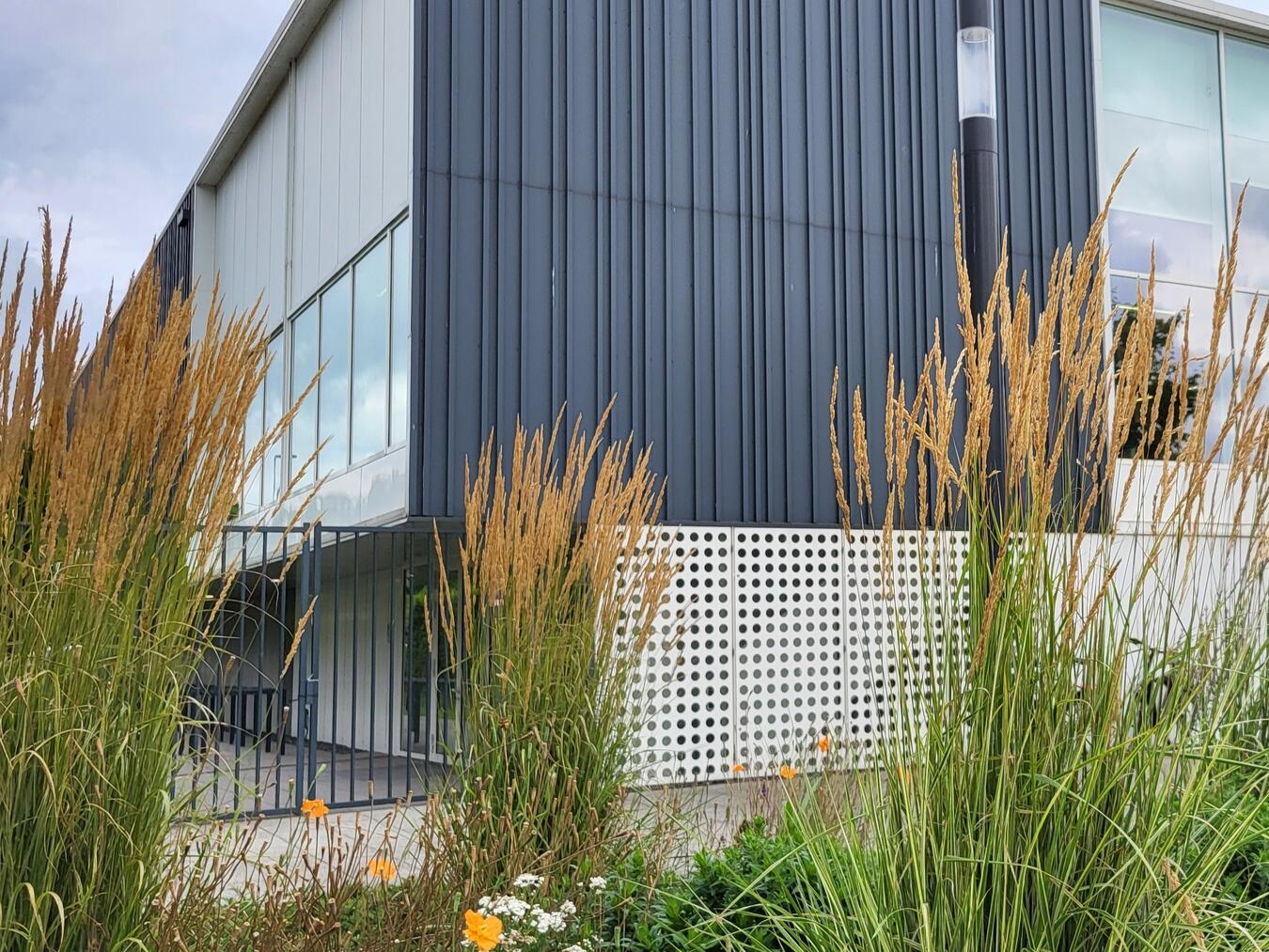 NN-Foto: Michael Bühs