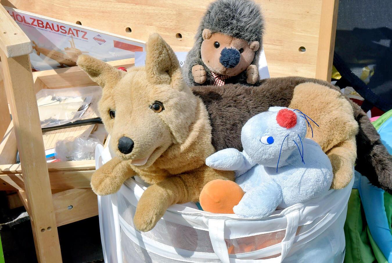 NN-Foto: Rüdiger Dehnen