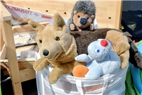 NN-Foto: Rüdiger Dehnen