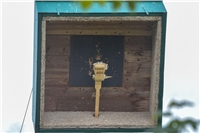 NN-Fotos: Gerhard Seybert