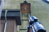 NN-Fotos: Gerhard Seybert