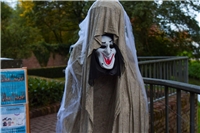 NN-Fotos: Gerhard Seybert