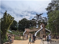 NN-Fotos: Verena Schade