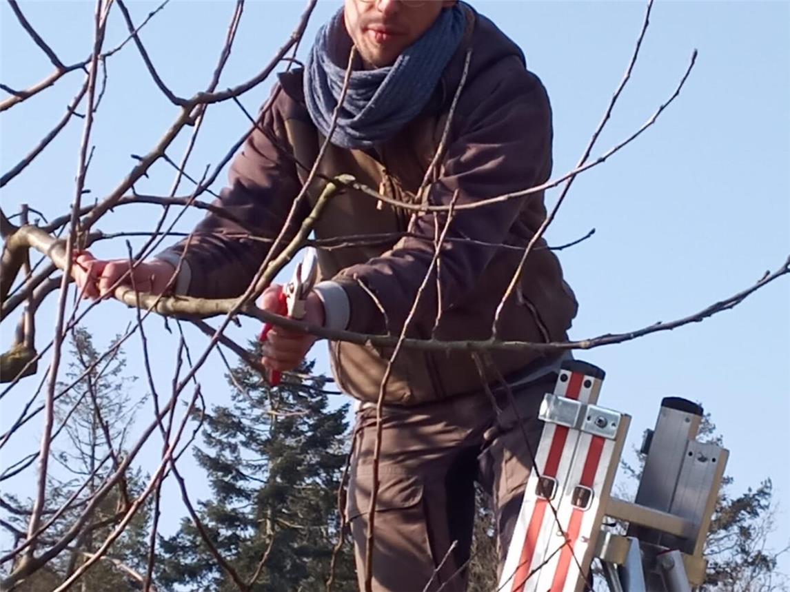 Obstbäume in unterschiedlichem Alter brauchen unterschiedliche Pflegeschnitte.Foto: Nabu