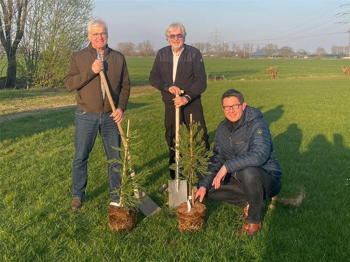 Peter Giesen, Wolfgang Dähne und Andreas Kochs (v.l.) mit den Mammutbäumen, die sie gepflanzt haben. Foto: Rotary Club Xanten