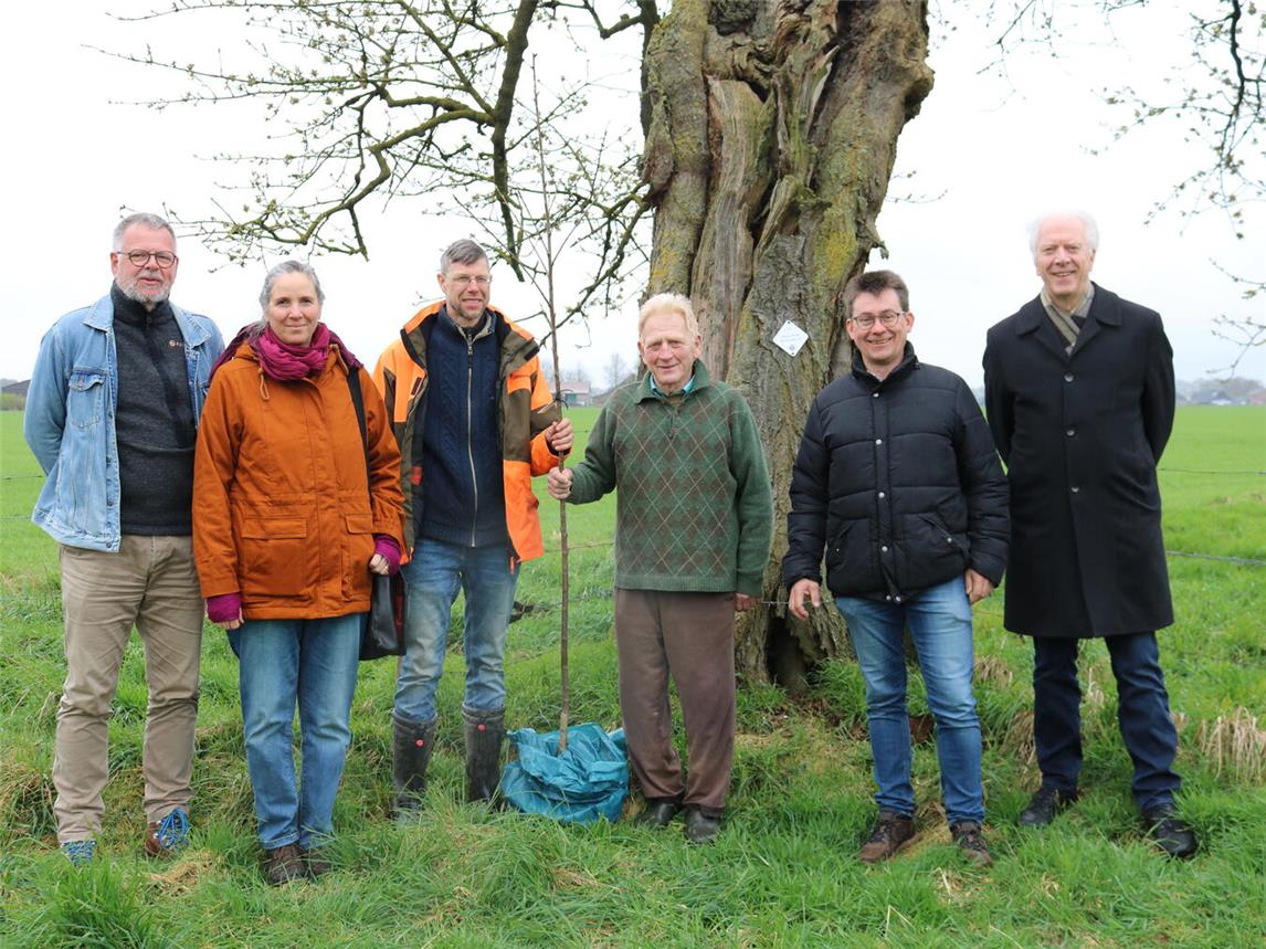 Peter Haartz (Mitarbeiter Likk), Carina Pfeffer (Pomologin), Jürgen Opschroef (Mitarbeiter Likk), Landwirt Ernst Honig, Hubert Lemken (1. Vorsitzender Likk) und Dr. Georg Verbücheln (Stöckmann-Stiftung) vor dem alten Kirschbaum auf der Wiese von Ernst Honig. Durch das Veredelungsprojekt kann der Landwirt nun die alte Sorte erhalten. NN-Foto: CDS