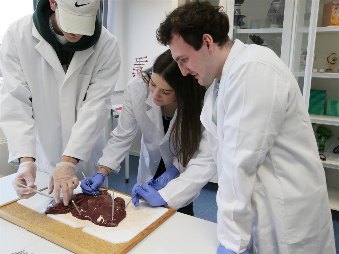 Praxisorientiertes Lernen erhöht die Motivation und dient auch dem theoretischen Verständnis. An den Beruflichen Gymnasien am Berufskolleg Kleve ist dies fest verankert. Foto: Michael Zoephel