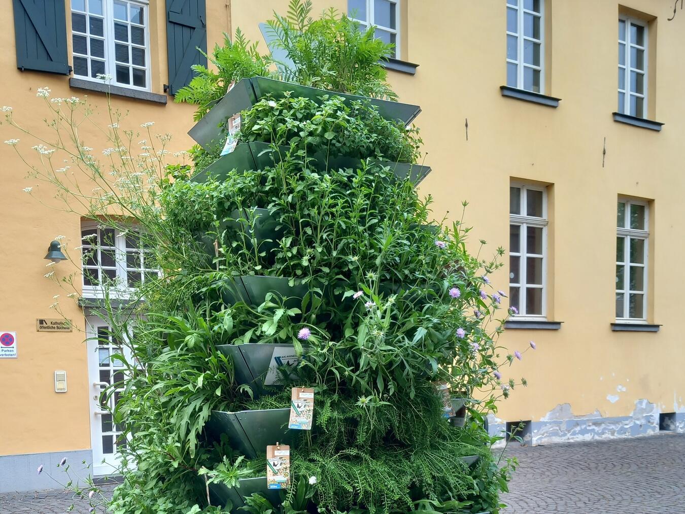 Pyramiden aus Wildpflanzen stärken die Artenvielfalt. Foto: Privat