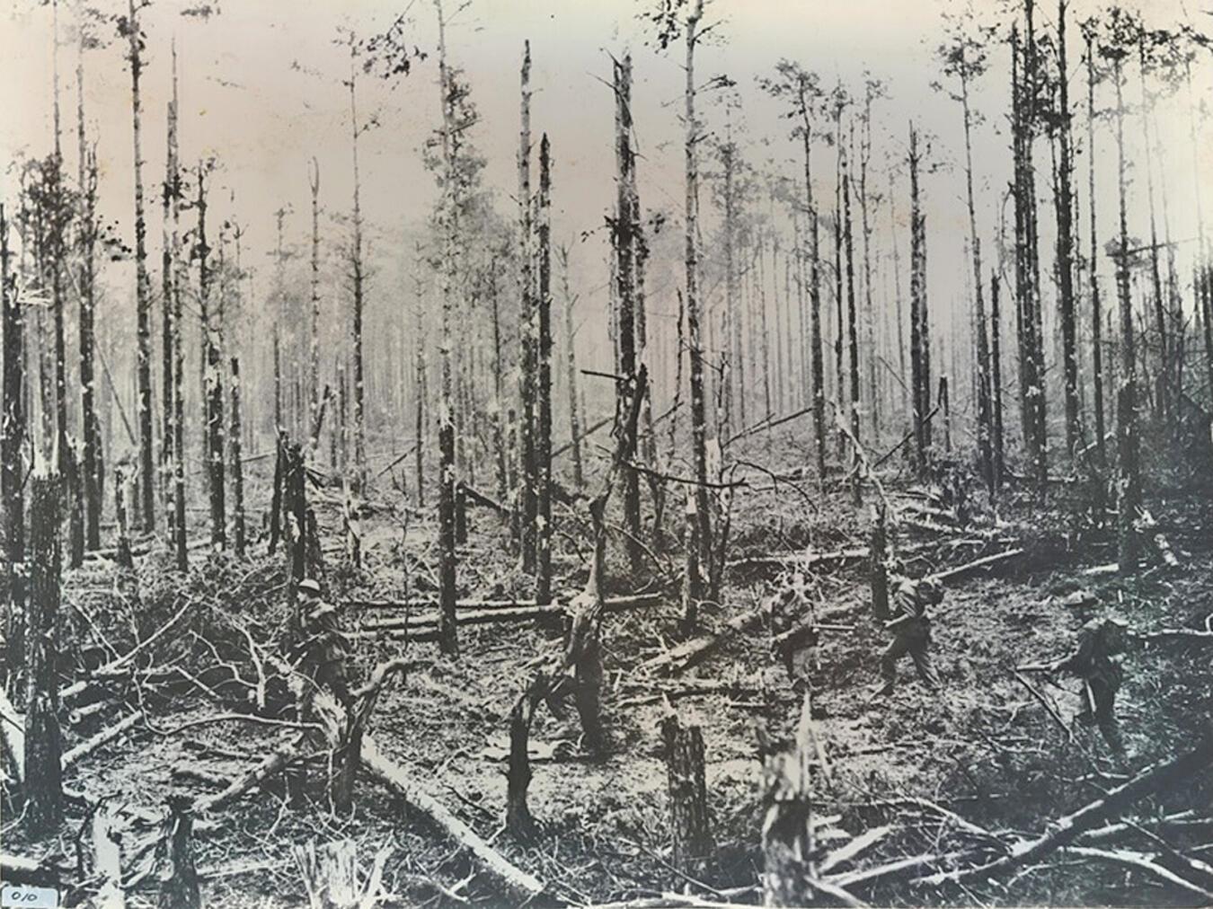 Rheinlandoffensive Reichswald vor 80 Jahren.