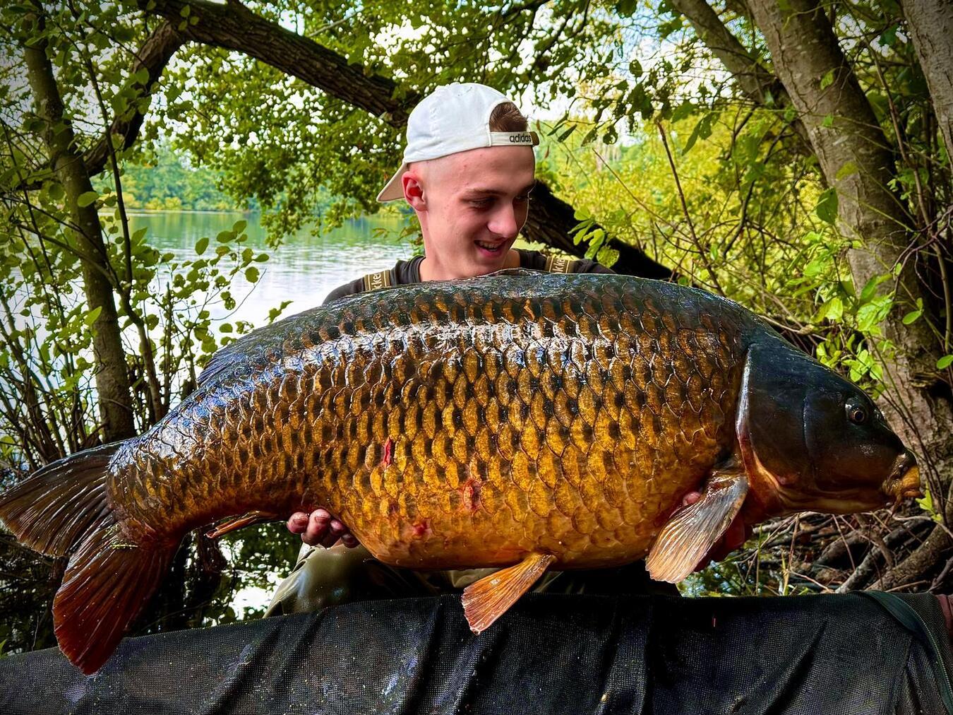 Richtig gelernt, gelingen auch solch kapitale Fänge, wie hier ein prächtiger Schuppenkarpfen. Foto: privat
