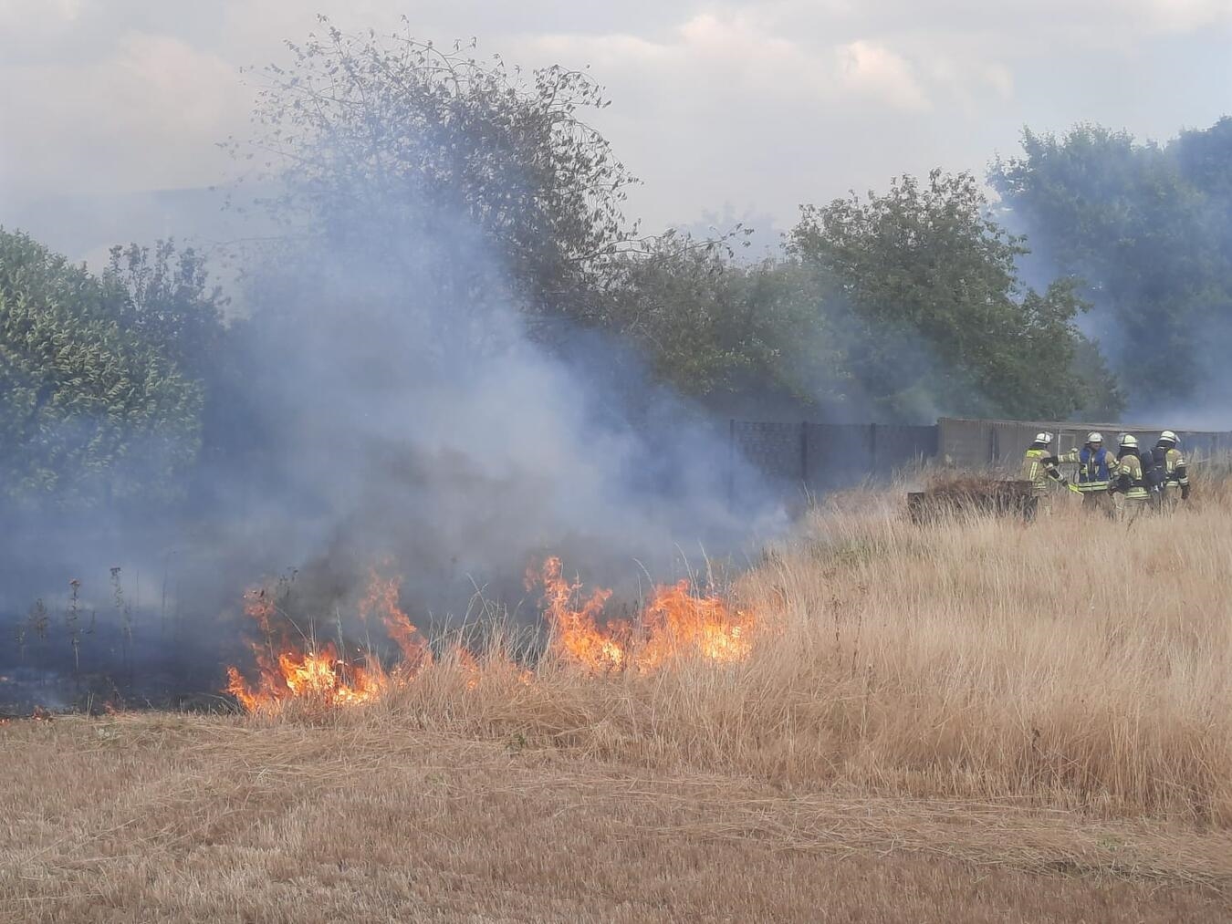 "Brand in Kleve: 54.000 qm Vegetation betroffen, Foto der Feuerwehr"