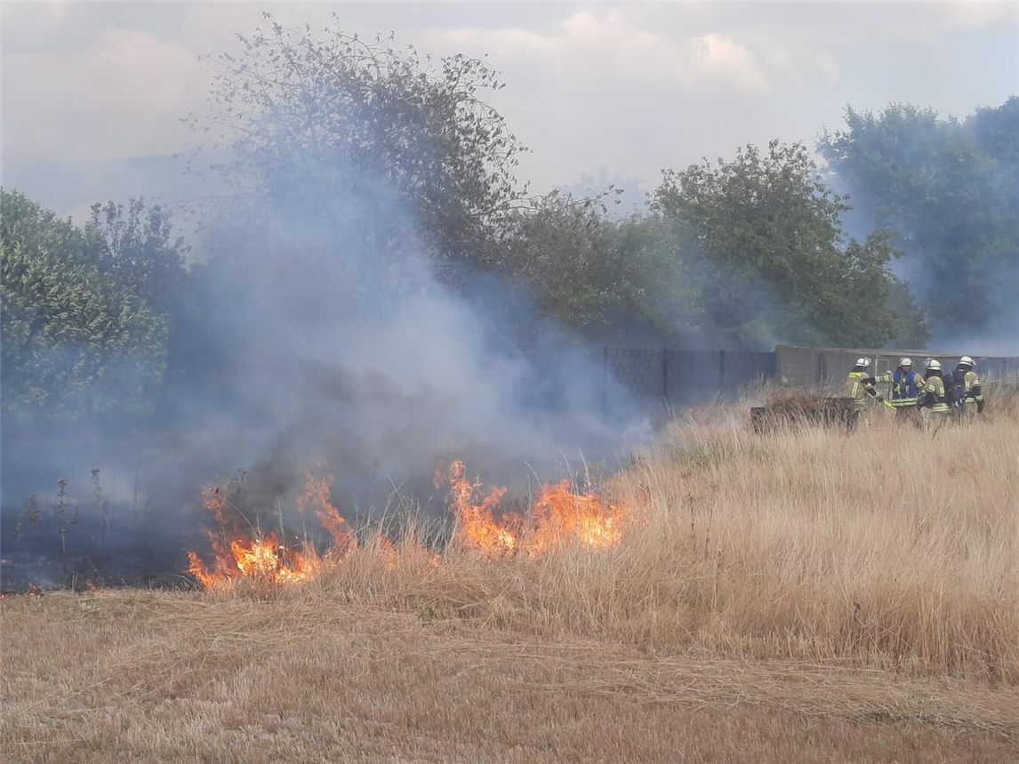 "Brand in Kleve: 54.000 qm Vegetation betroffen, Foto der Feuerwehr"