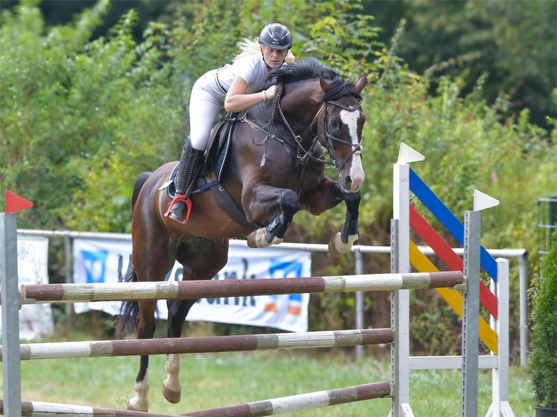 Sämtliche Dressur- und Springprüfungen werden auch in Veen an zwei Tagen absolviert. Symbolfoto (Archiv): Gerhard Seybert