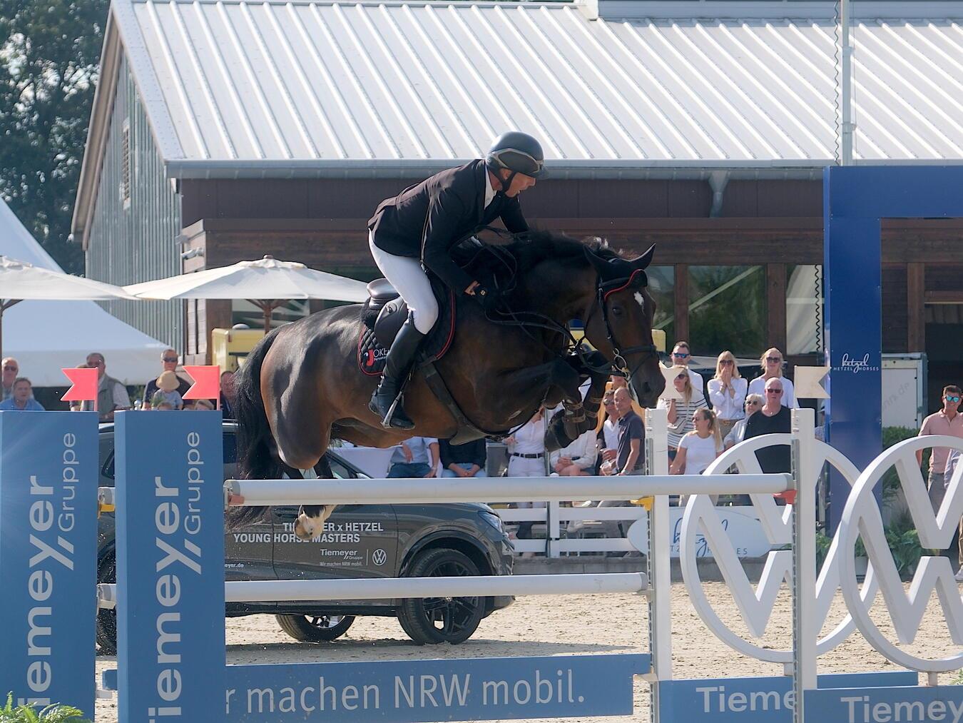 Sahnte 2024 den Finalsieg beim Tiemeyer x Hetzel Young Horse Masters ab: der inzwischen neun Jahre alte F One’s Son FM mit dem Schweizer Alain Jufer. Foto: Thomas Hartwig