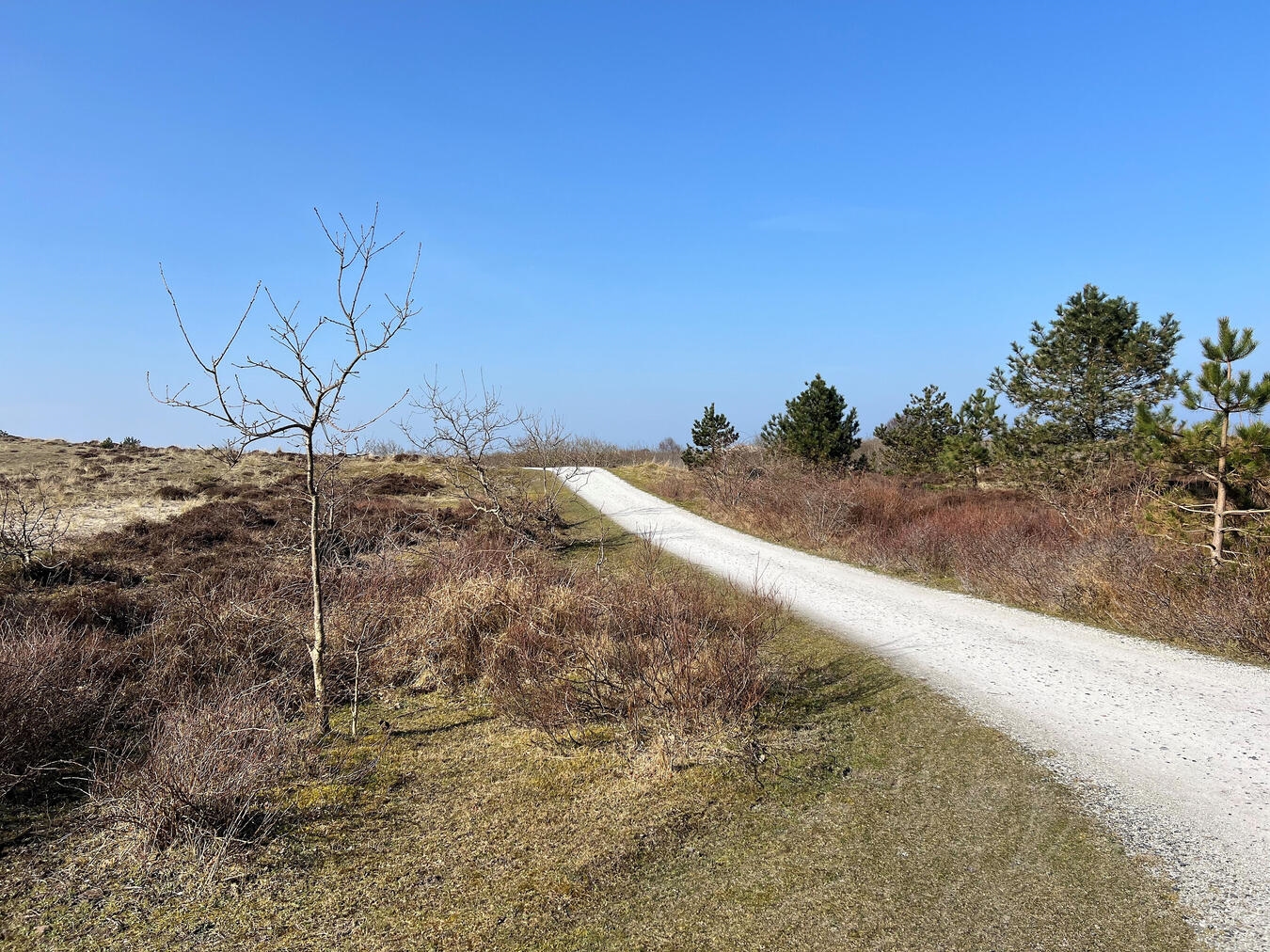Schön gelegte und komfortable Radwege bieten die besten Voraussetzungen für ents...