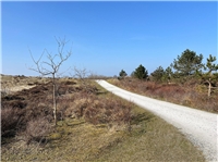 Schön gelegte und komfortable Radwege bieten die besten Voraussetzungen für ents...