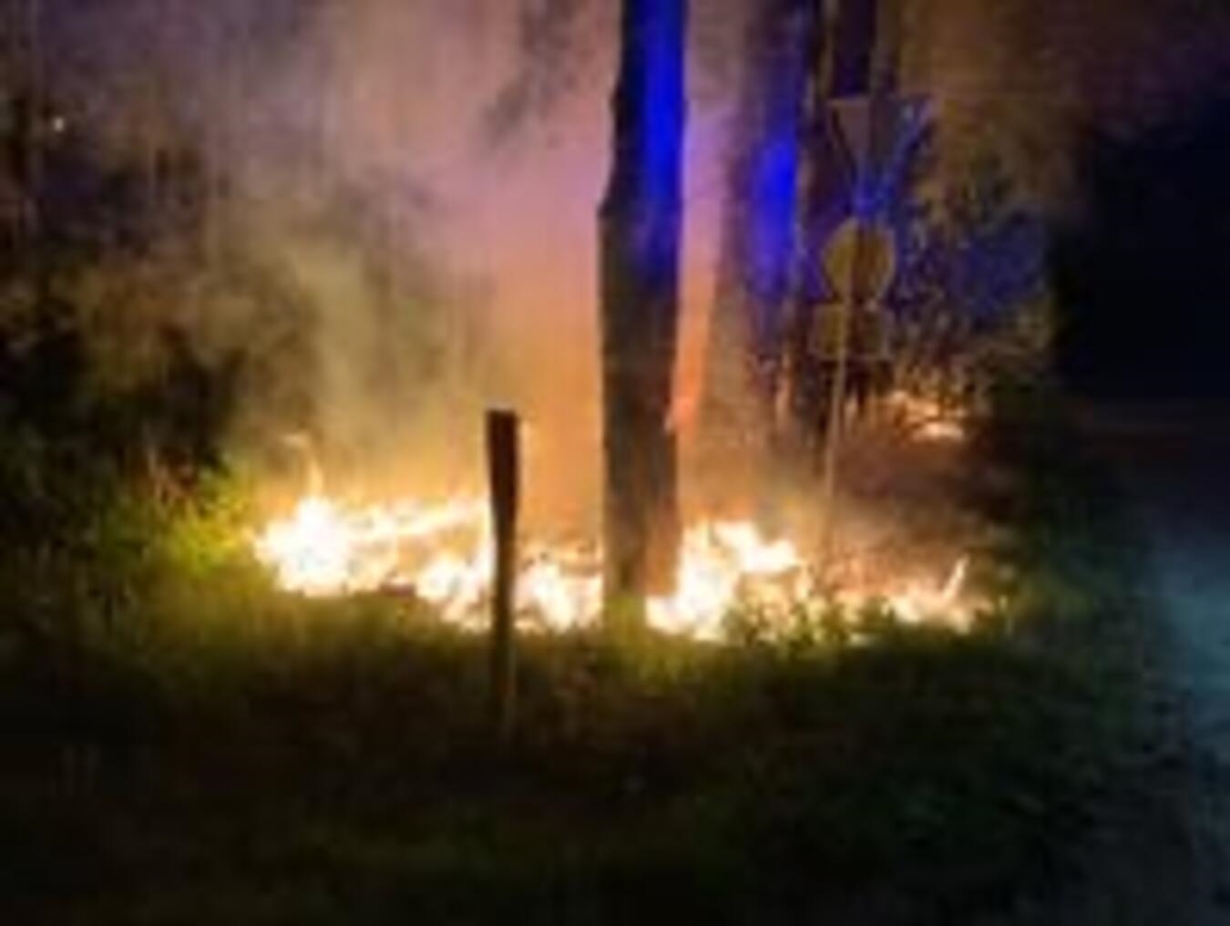 "Sechs Brandstellen im Waldgebiet von Feuerwehr Straelen gelöscht, Einsatzkräfte im Einsatz"