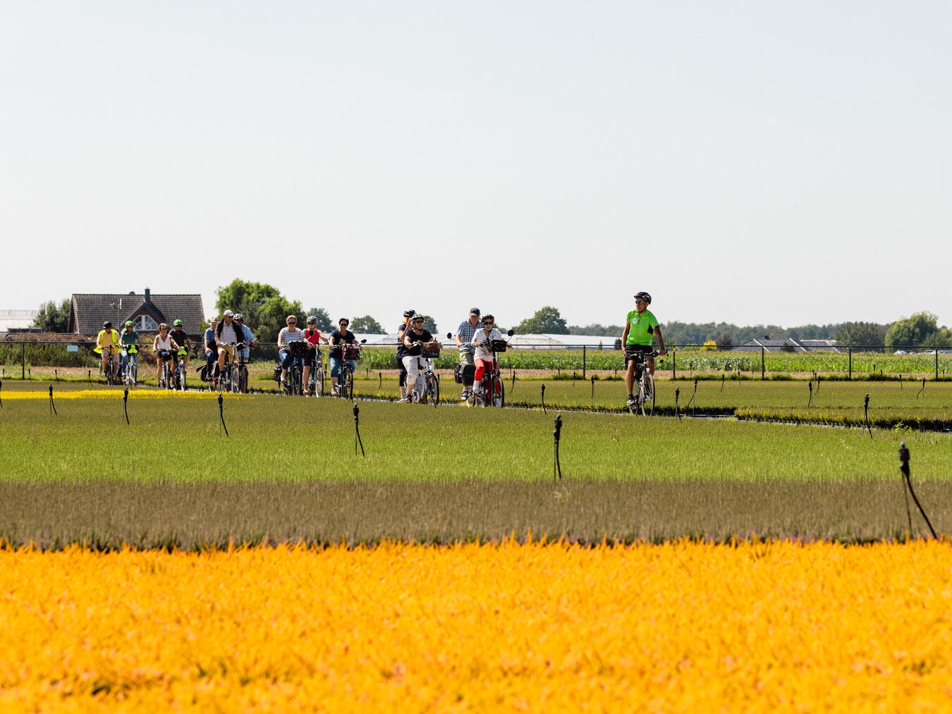 Sehr beliebt in Straelen: die GreenCity RadTouren für Jedermann.Foto: Stadt Straelen