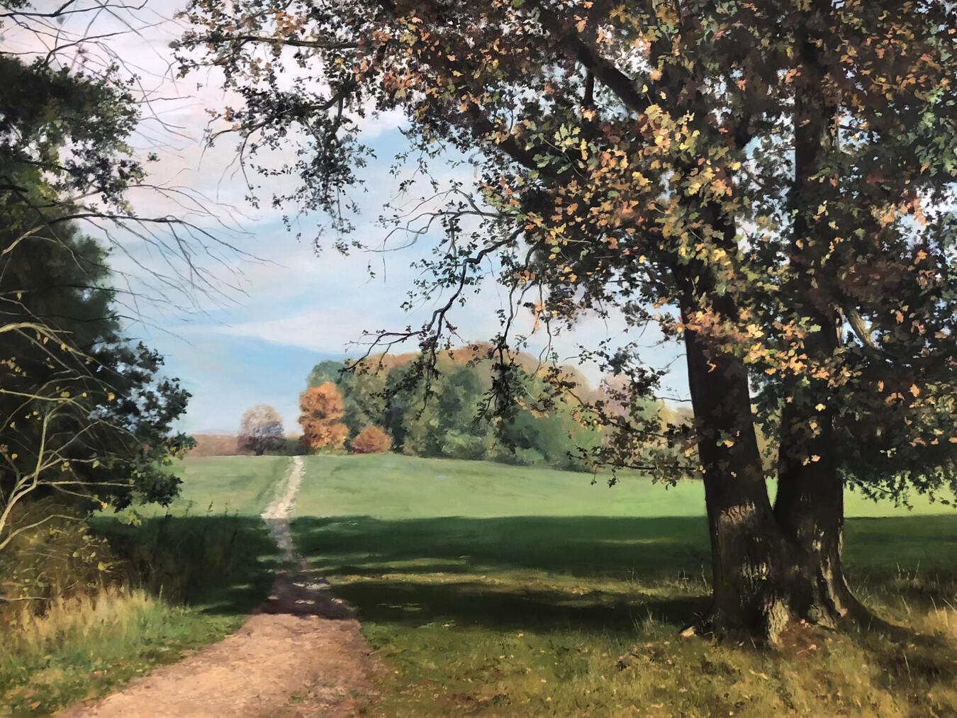 Seine Lieblingsmotive sind Wälder und weite Landschaften, die er oft im nahe gelegenen Reichswald und im Raum Kleve/Nimwegen findet. Foto/Bild: René Joosten