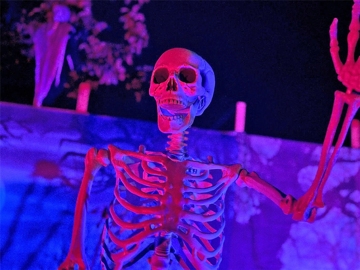 An Halloween wird der Niederrhein wieder schaurig-schön Seit drei Jahren ist Nico Breitenstein voll im Sonsbecker Halloween-Fieber dabei. Das Haus seiner Familie schmückt er mit Leidenschaft. Hier tanzen sogar die Skelette. Fotos: Privat