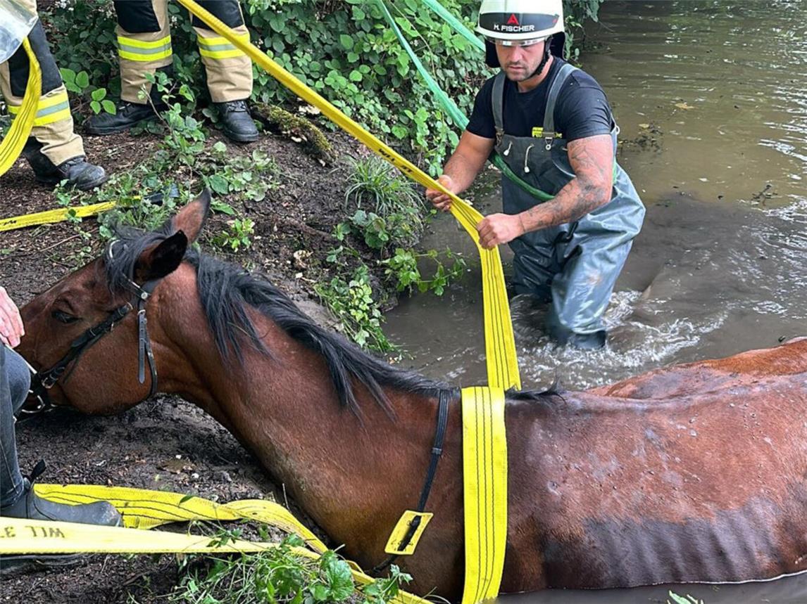 Showtime lag rund einen Meter tief im Wasser.Fotos: Galka, Feuerwehr