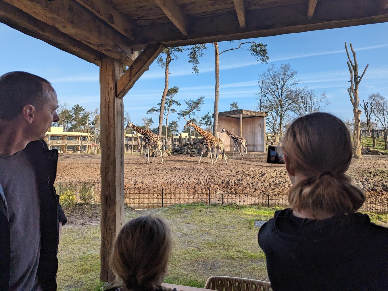 So einen tollen Ausblick hat man nicht alle Tage. Die Hotelzimmer haben alle Blick auf ein großes Außengehege.NN-Fotos: vs