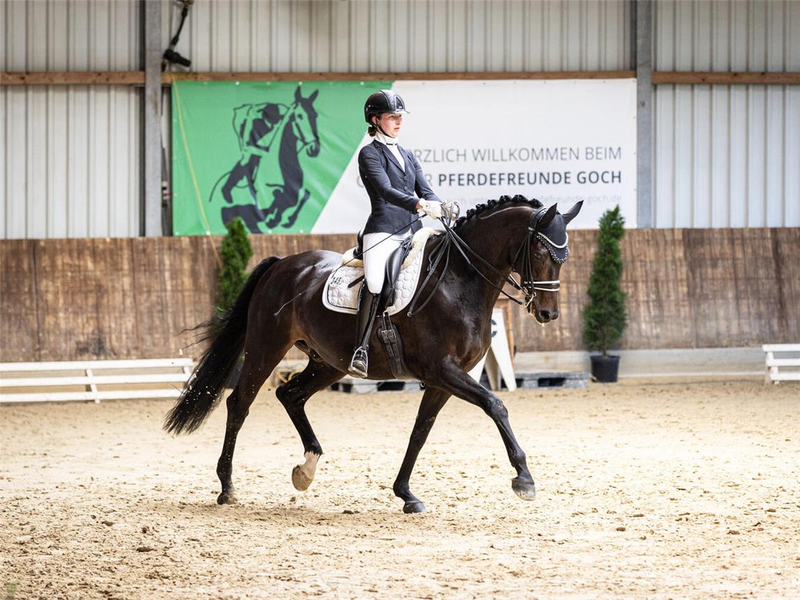 Spannender Reitsport wird am Fronleichnams-Wochenende an der Kalbecker Straße geboten.Foto: Jasmin Metzner Fotografie