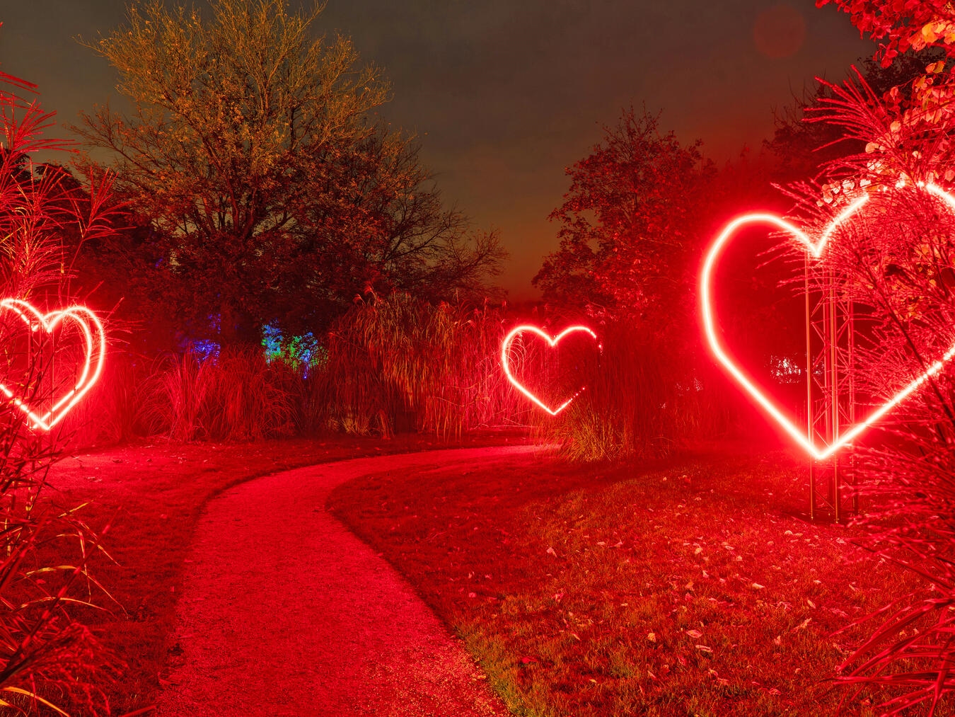 Spektakuläre Lichtinstallationen erwarten die Besucher der Schlossgärten noch bis zum 1. November. Foto: Schlossgärten Arcen