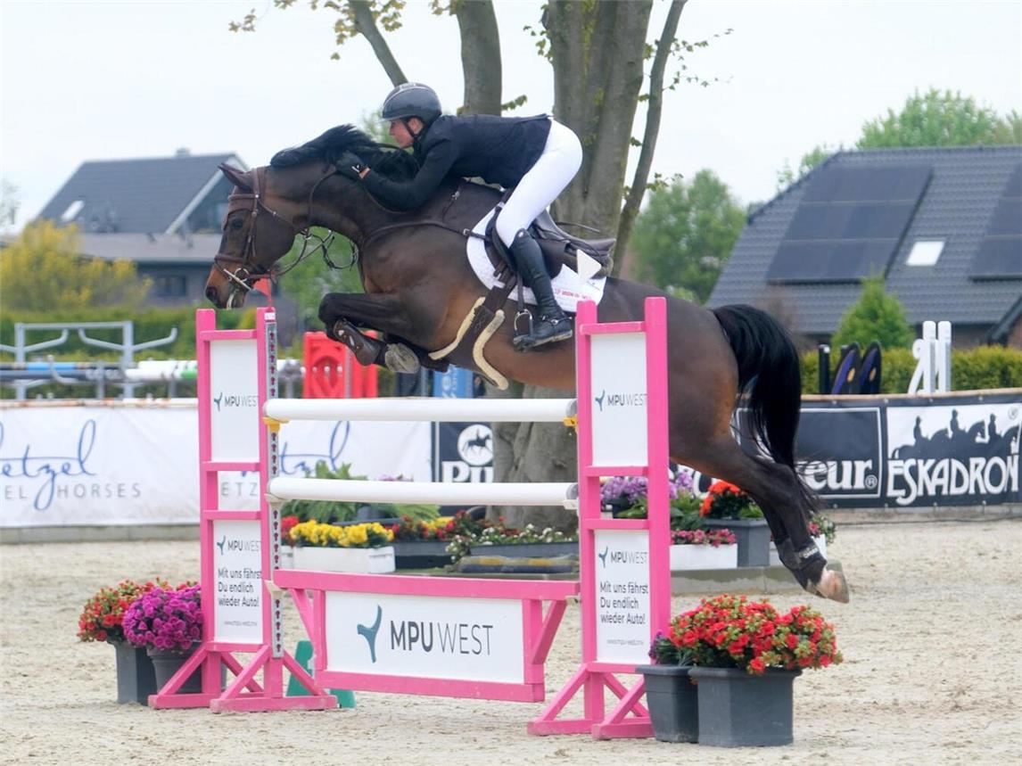 Springreiterin Katrin Eckermann - hier mit Cascajall NRW – zählt zu den „Stammgästen“ des Hetzel Spring Masters in Goch und avancierte zur Seriensiegerin im Parcours. Foto: Thomas Hartwig