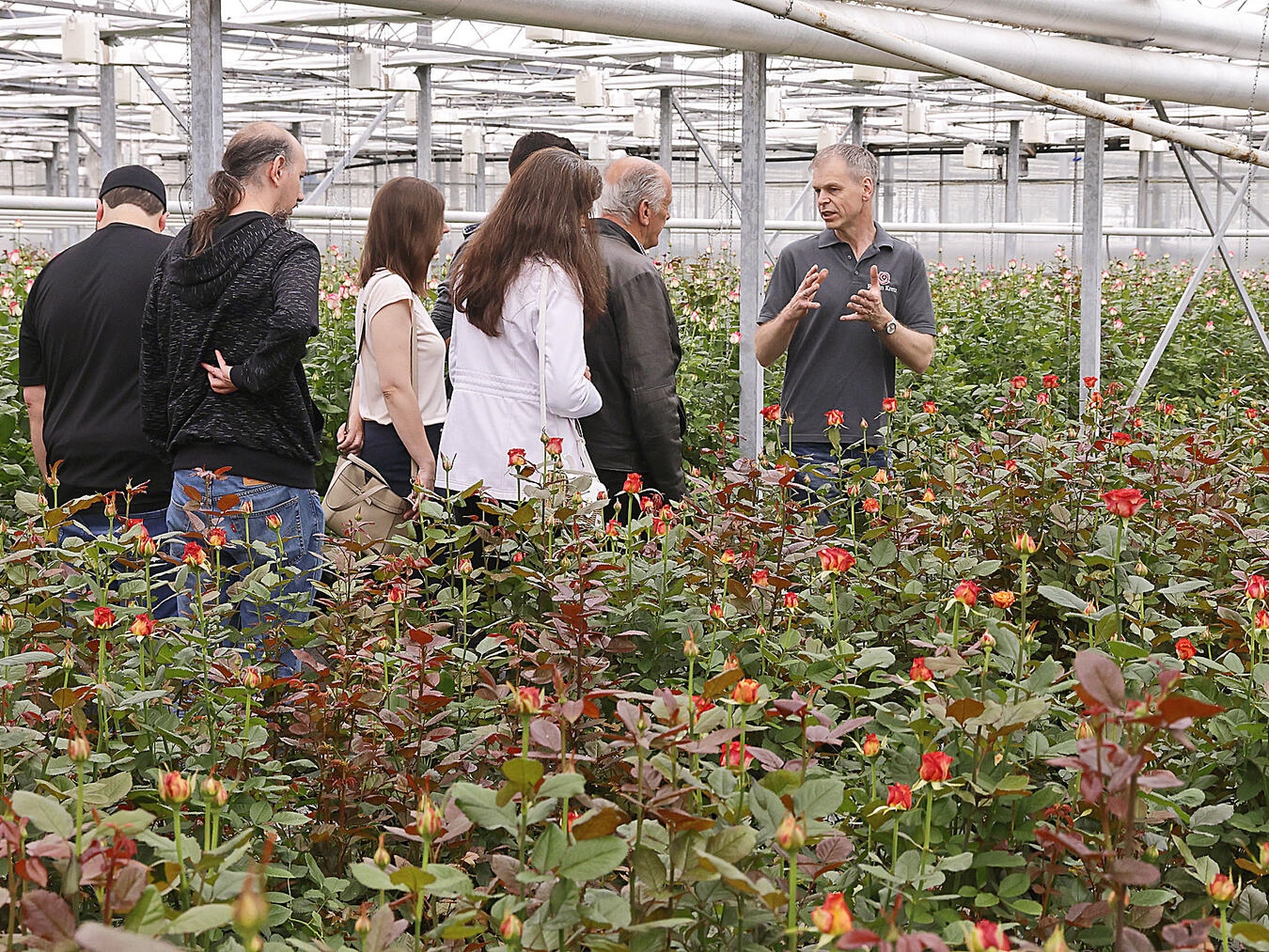 "Stephan Kretz erklärt Rosenkulturen im Garten"