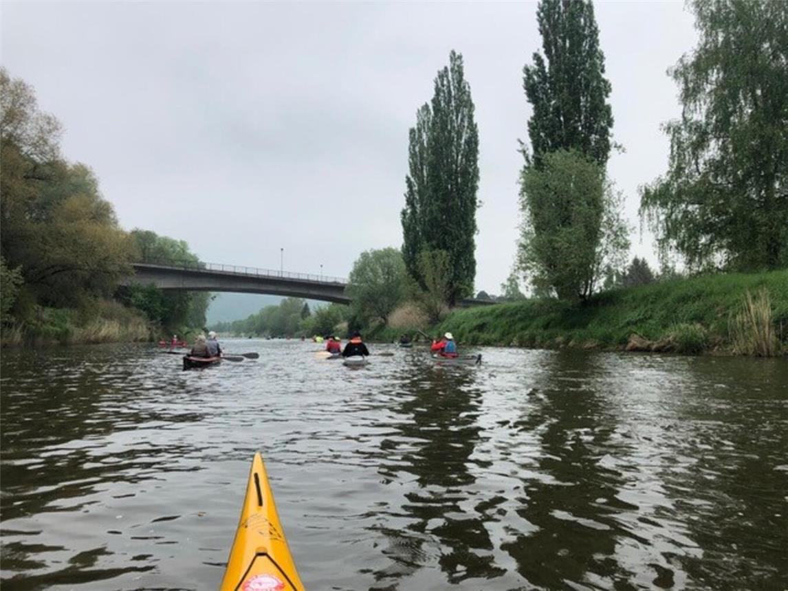 Tausende Kanuten und Ruderer paddelten die Weser entlang. Foto: Kanu-Club Kleverland