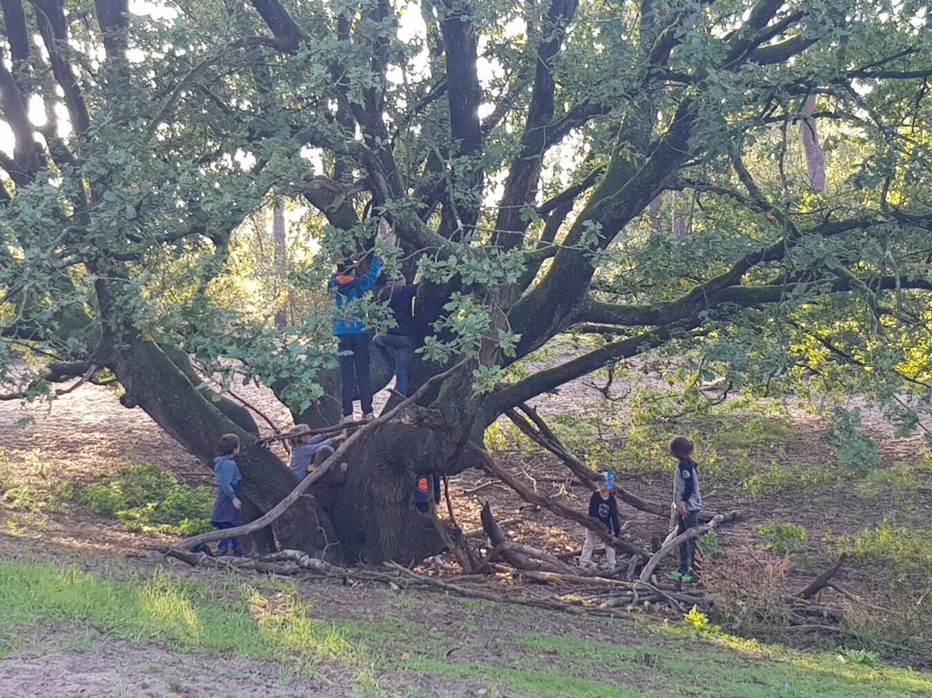 Teilnehmer können in die Welt der Wichtel und Elfen eintauchen. Foto: privat