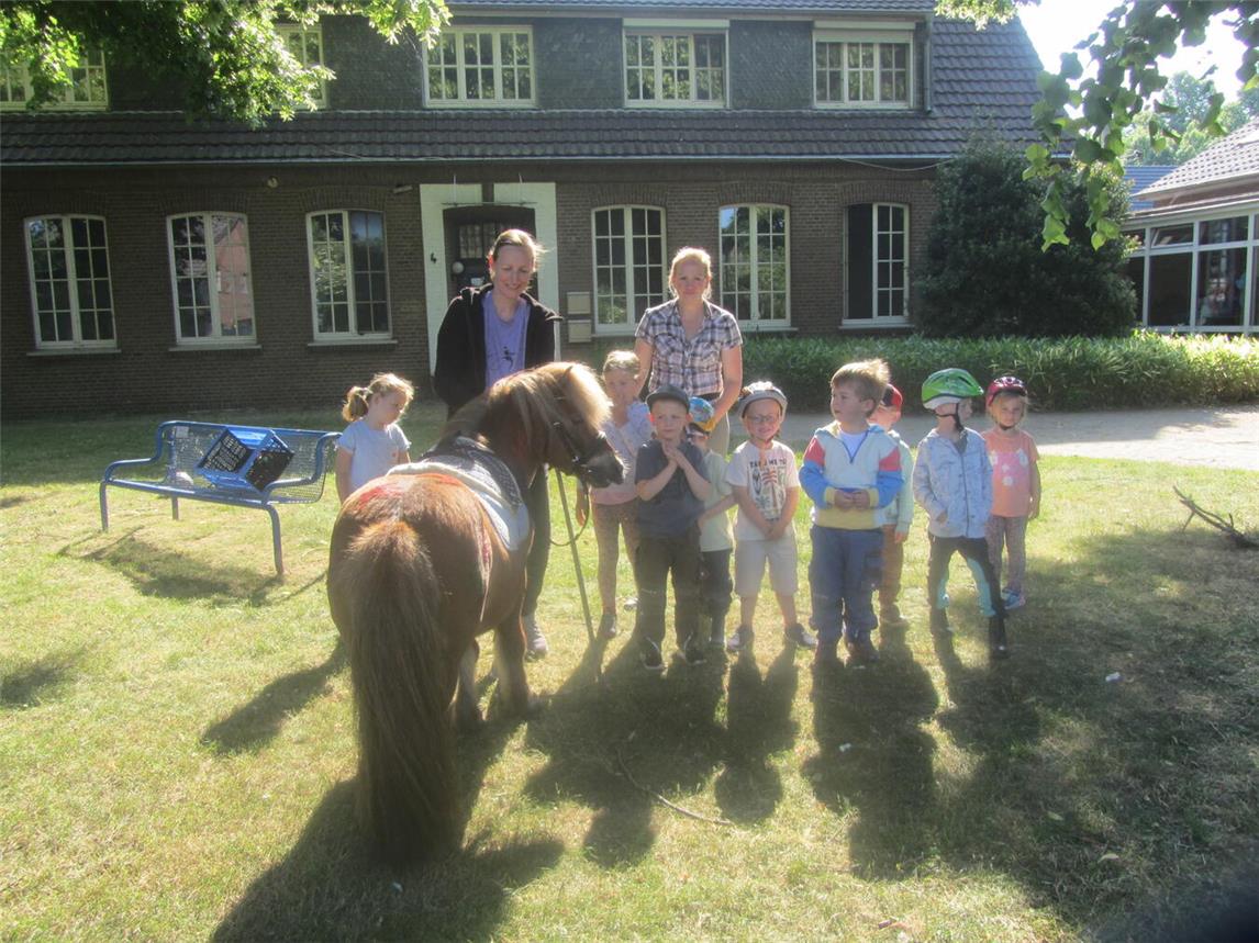 Tierischer Besuch: Paul zu Gast im Bienener Kindergarten. Foto: privat