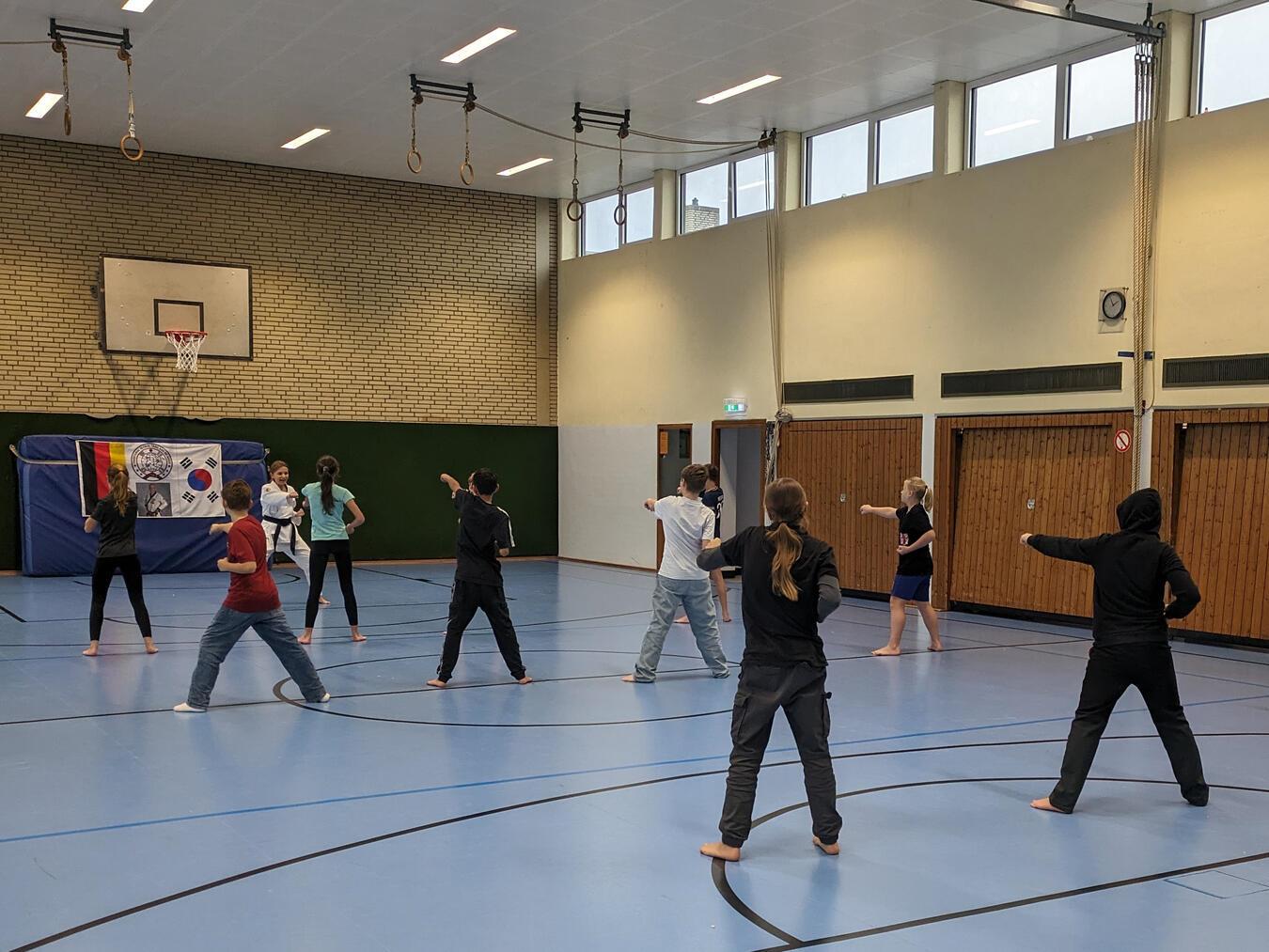 Trainerin Nina Freytag vom Tang Soo Do Issum zeigte den Kindern der Gesamtschule Geldern im Rahmen des Sportkarussells die Grundlagen der Kampfkunst. Foto: privat