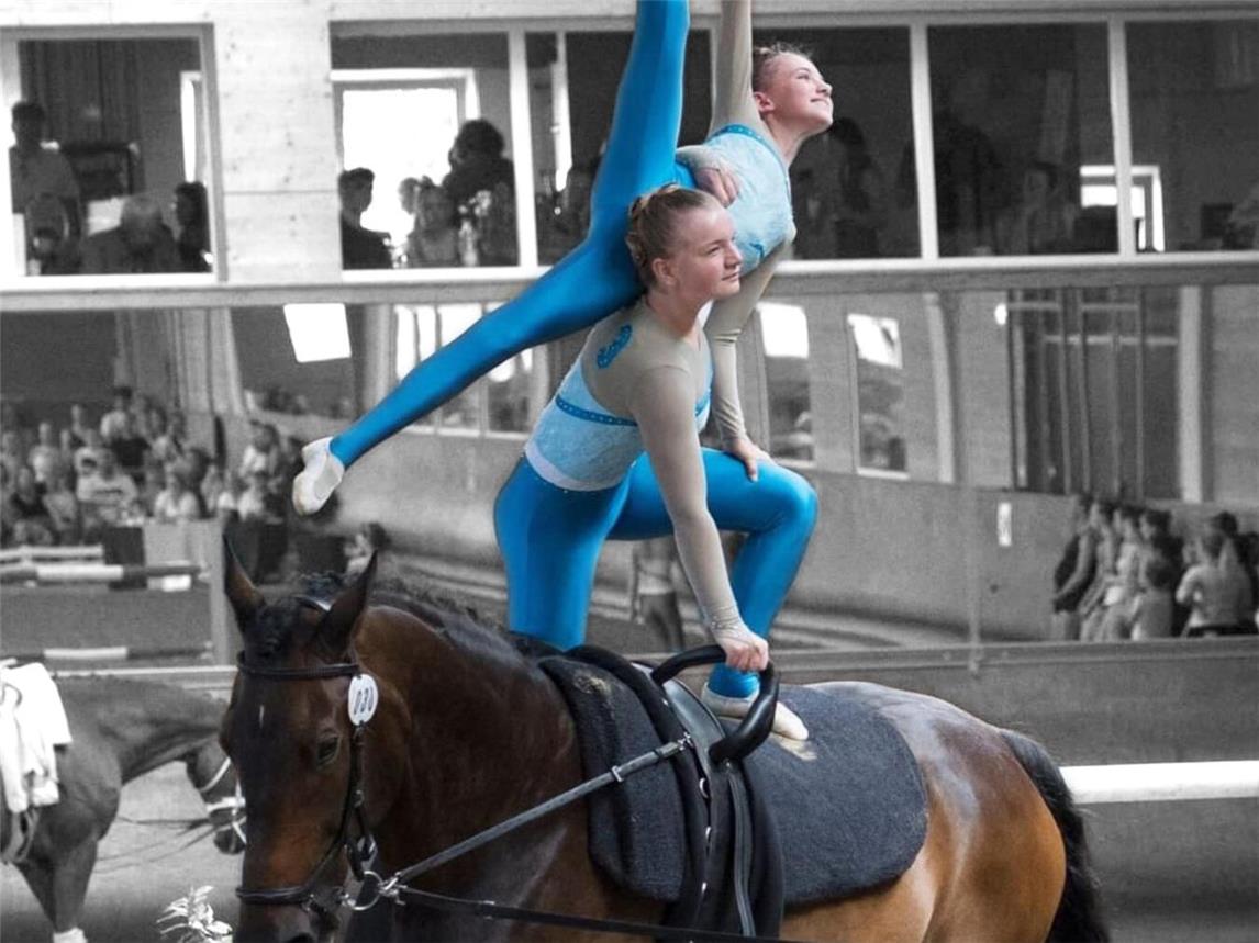 Über 75 Gruppen werden an den Start gehen. Foto: Verein für Voltigiersport