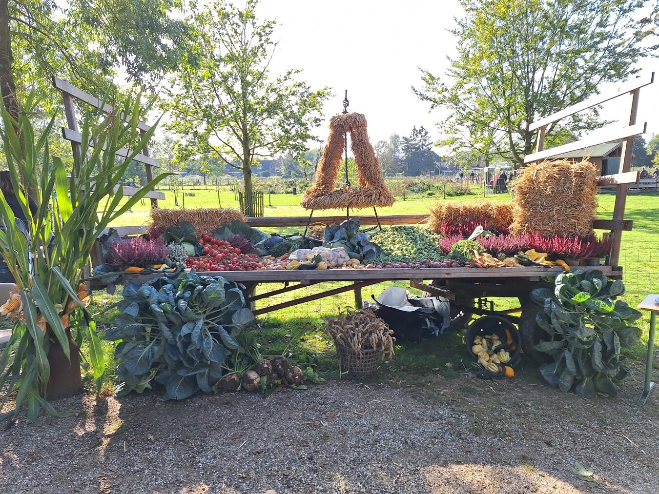 Erntedank im Tierpark Um 11 Uhr beginnt das Erntedankfest im Tierpark Weeze. Foto: privat