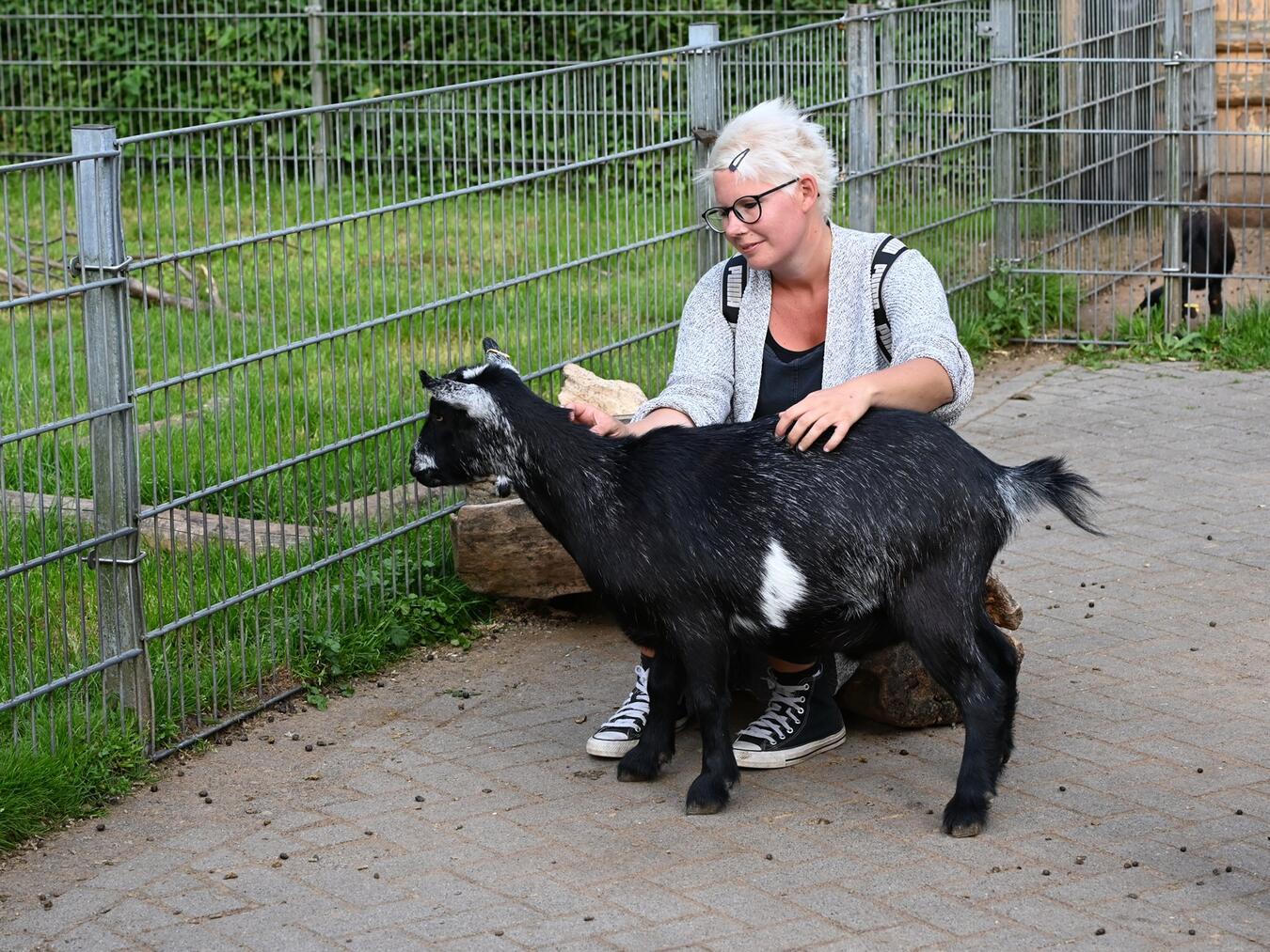 Unter anderem werden Helfer für den Streichelzoo gesucht. Foto: Tiergarten Kleve