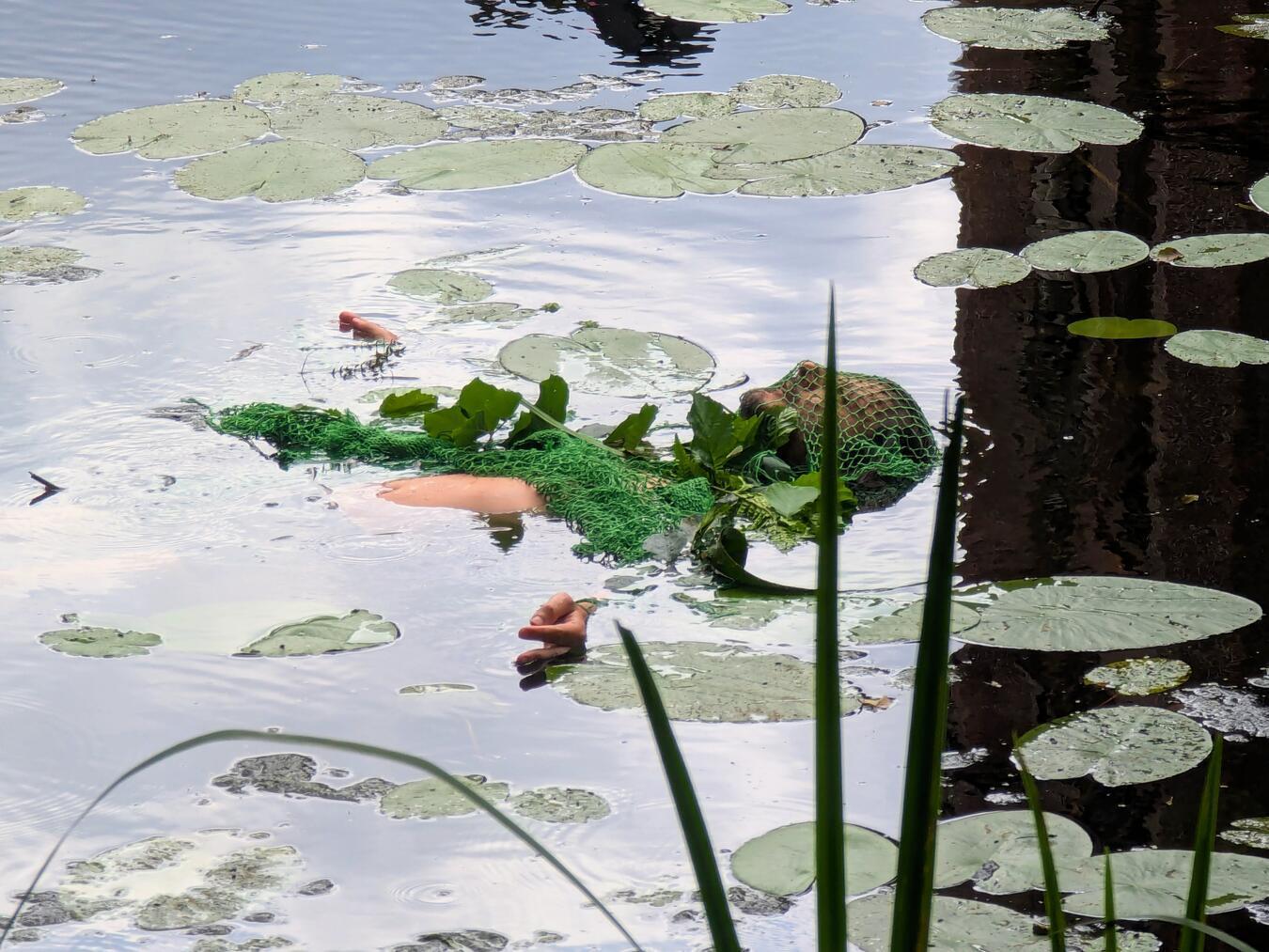Unter dem Titel „Camouflage“ präsentiert sich der Künstler Esref Yildirim vom 13. bis 20. Juli getarnt mit Blättern und einem grünen Netz im Wassergraben um das Schloss. Dabei möchte er Nähe zu den dort lebenden Tieren aufbauen, ohne aktiv in ihren Lebensraum einzugreifen. Über Stunden treibt er an der Wasseroberfläche und macht auf die Beziehung zwischen Mensch und Tier aufmerksam, welche oft durch Ausbeutung und Wilderei geprägt ist .Foto: J. Kurschatke