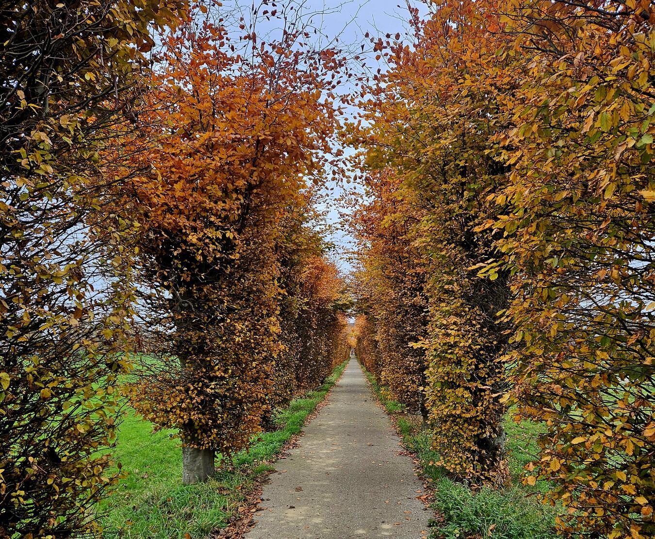 Unterwegs rund ums Kloster Sint Agatha