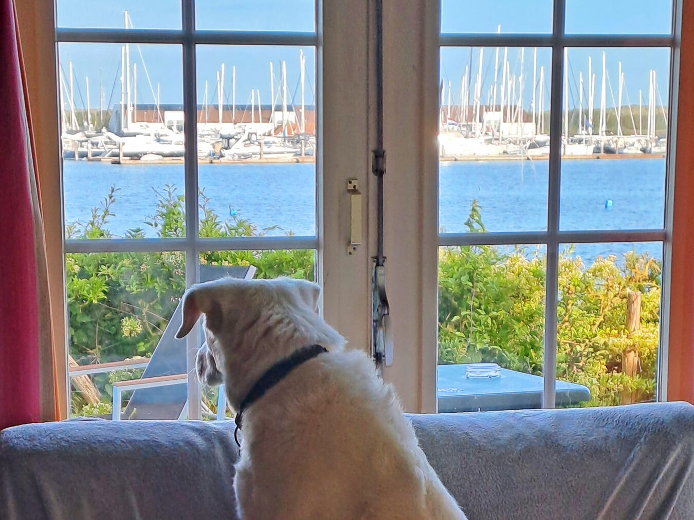 Urlauben geht in den Niederlanden vielseitig. Zu ihrem Foto kommentiert Monika Crombach: „Hier ein Foto aus Port Zelande in den Niederlanden. Mein Hund wartet auf die morgendlichen Brötchen. Im Hintergrund ist der wunderschöne Jachthaven Marina von Port Zelande zu sehen.“