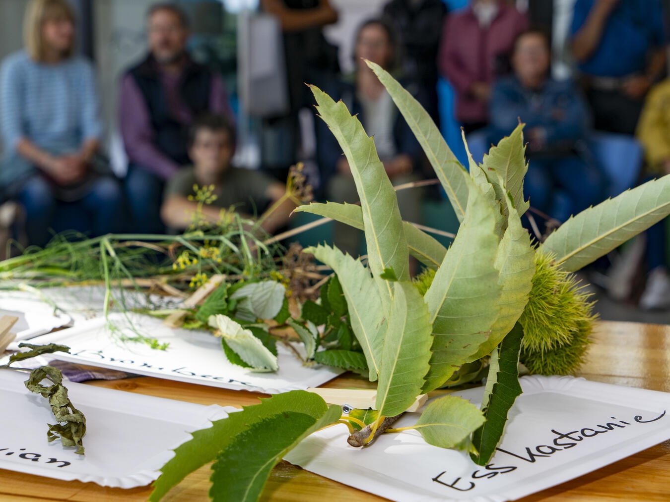 Ute Stehlmann gibt spannende Einblicke in die Welt der Kräuter und Gewürze. Foto: Gerhard Seybert 