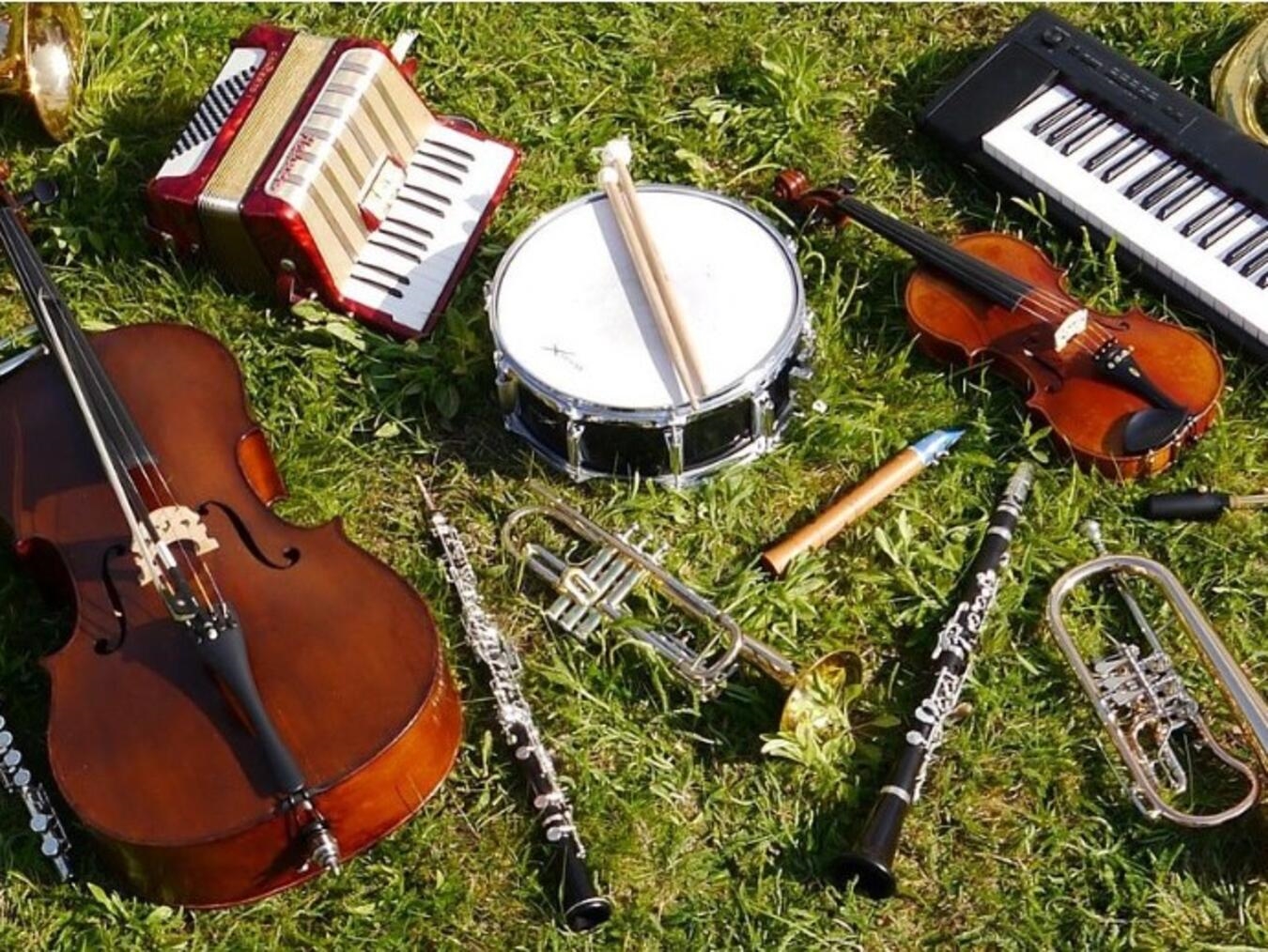 "Person spielt Gitarre in Musikgeschäft, umgeben von verschiedenen Instrumenten"