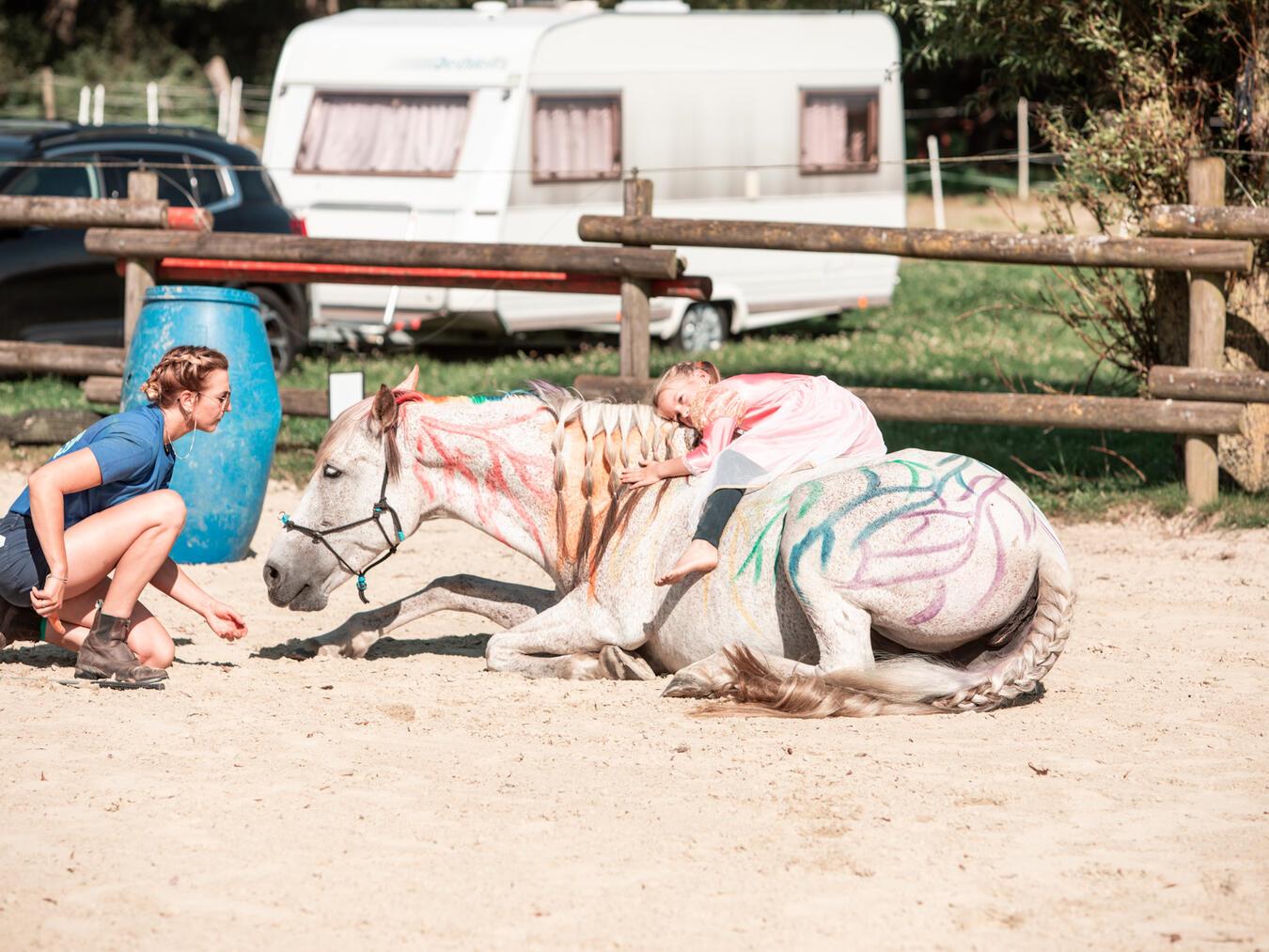 Viele Besucher und zahlreiche Spenden machten das Sommerfest zu einem Erfolg.  Foto: privat